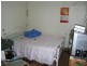 Ashfield NSW 2131