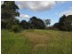 Minto NSW 2566