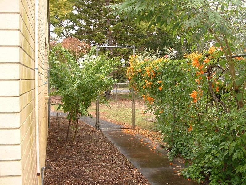 Beachmere QLD 4510