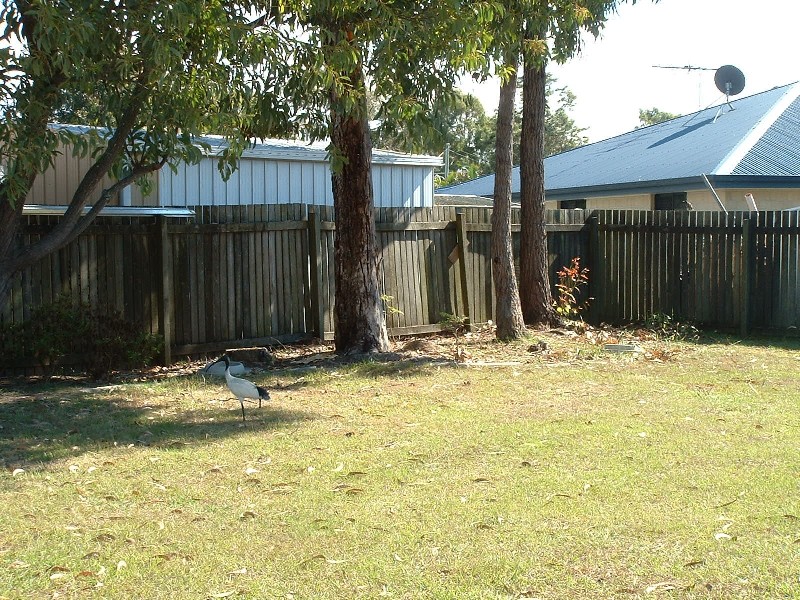 Beachmere QLD 4510