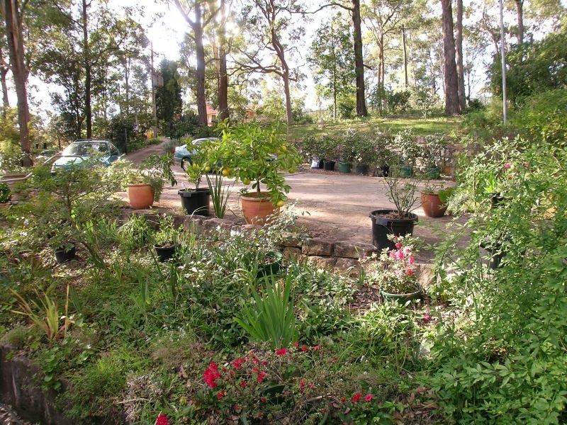 39  Roland Ave, Wahroonga NSW 2076