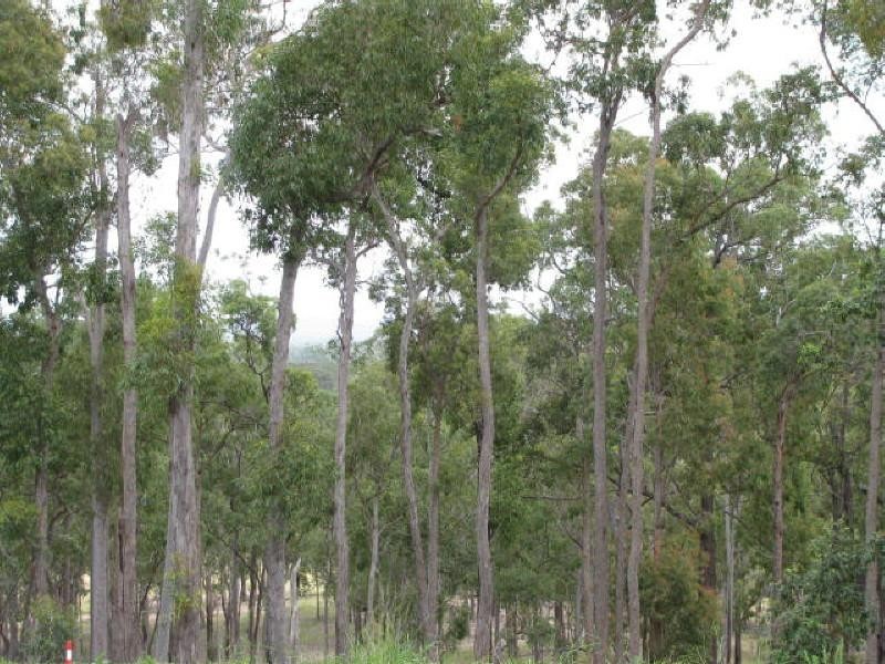 Childers QLD 4660