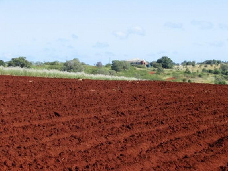 Childers QLD 4660