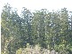 Gin Gin QLD 4671