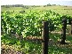 Childers QLD 4660