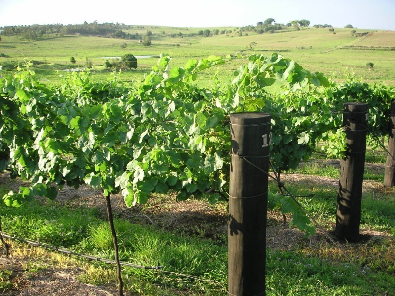 Childers QLD 4660