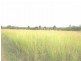 Gin Gin QLD 4671