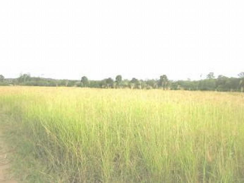 Gin Gin QLD 4671