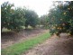 Gin Gin QLD 4671