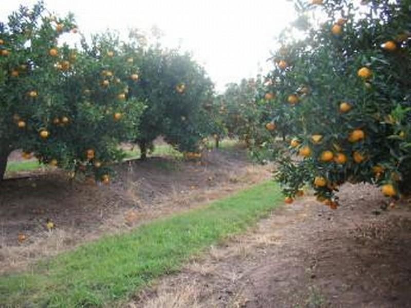 Gin Gin QLD 4671