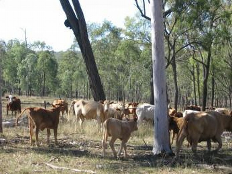 Mundubbera QLD 4626