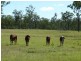 Booyal QLD 4671