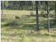 Childers QLD 4660