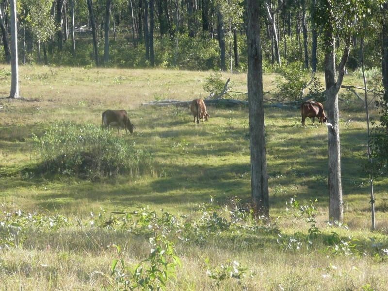 Childers QLD 4660