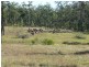 Childers QLD 4660