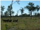 Childers QLD 4660