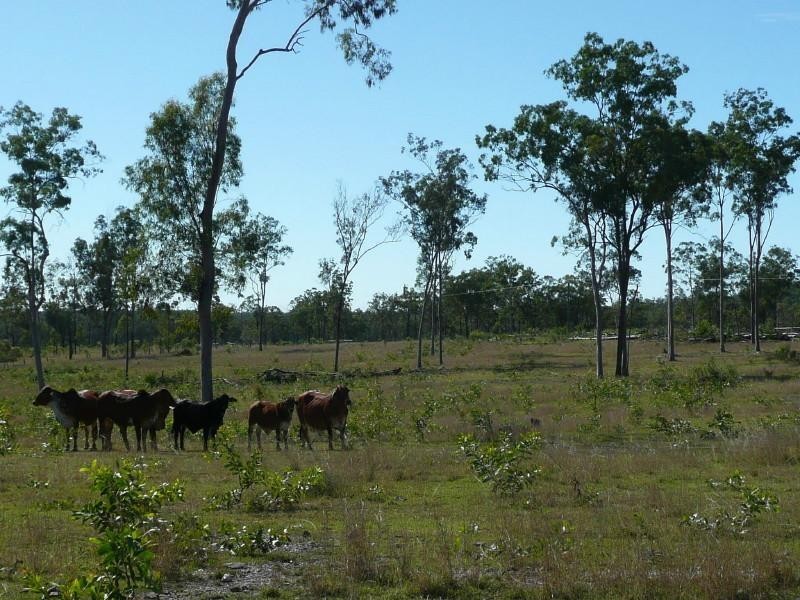 Childers QLD 4660