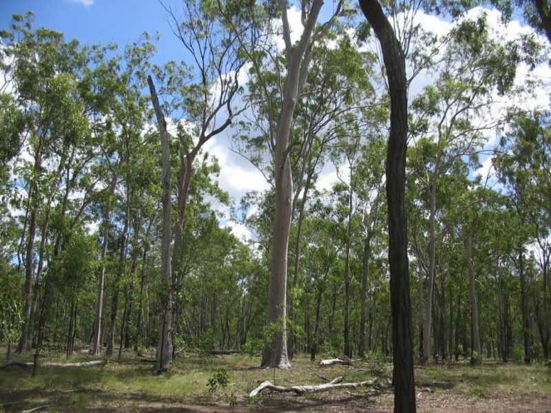 Childers QLD 4660