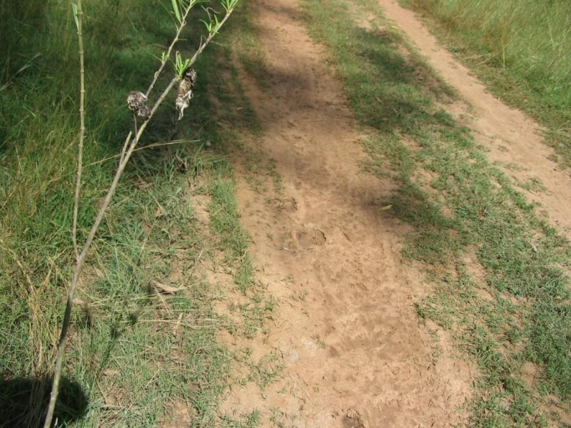 Childers QLD 4660