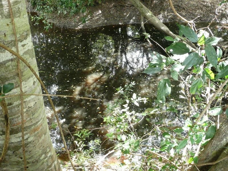 Childers QLD 4660