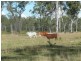 Childers QLD 4660