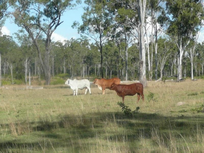 Childers QLD 4660