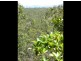 Childers QLD 4660