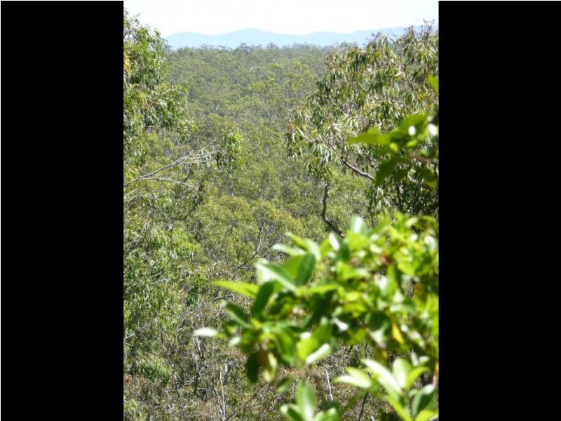 Childers QLD 4660