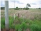 Childers QLD 4660