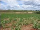 Childers QLD 4660