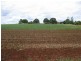 Childers QLD 4660