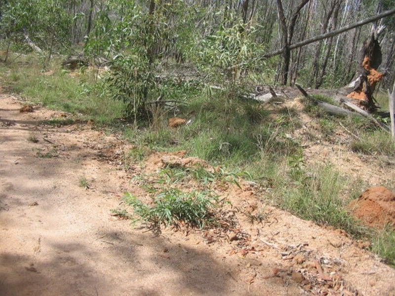 Childers QLD 4660
