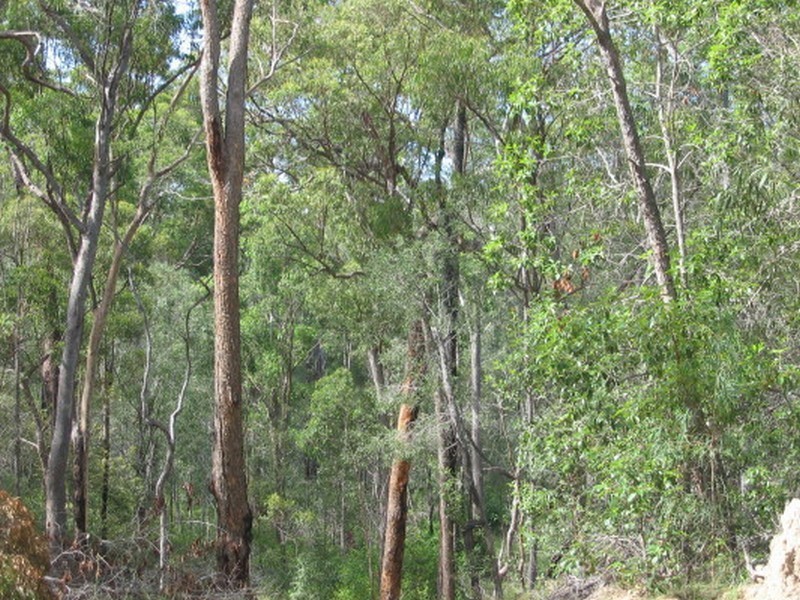 Childers QLD 4660