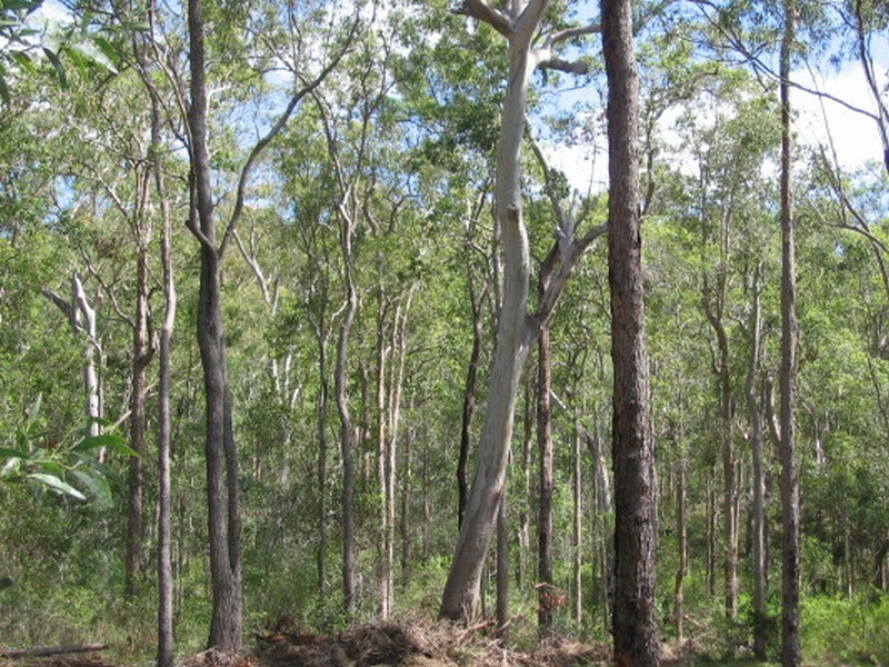 Childers QLD 4660
