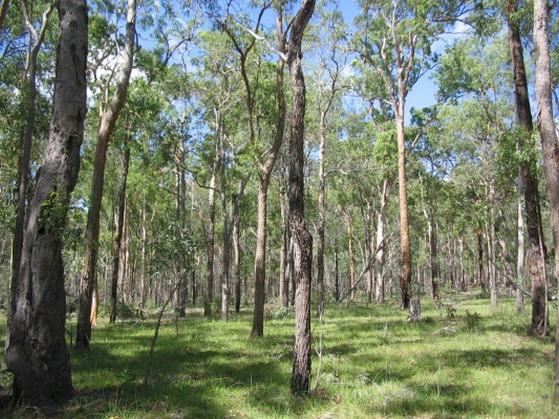 Childers QLD 4660