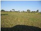 Buxton QLD 4660
