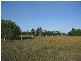 Buxton QLD 4660