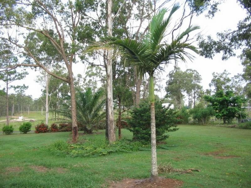 Cordalba QLD 4660