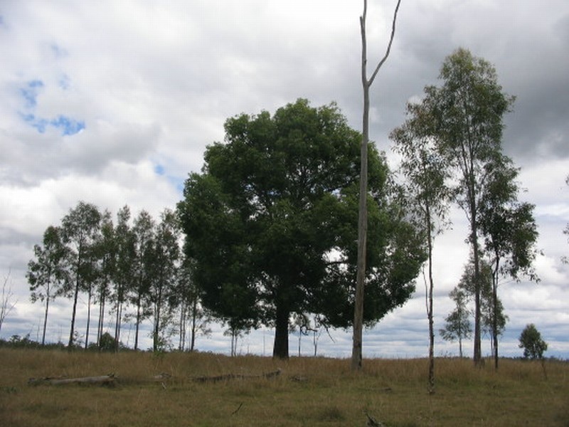 Booyal QLD 4671