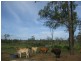 Booyal QLD 4671