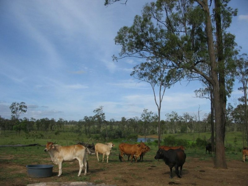 Booyal QLD 4671