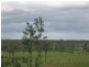 Booyal QLD 4671