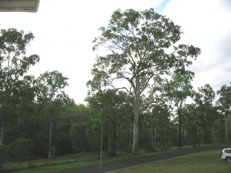 Apple Tree Creek QLD 4660