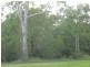 Apple Tree Creek QLD 4660