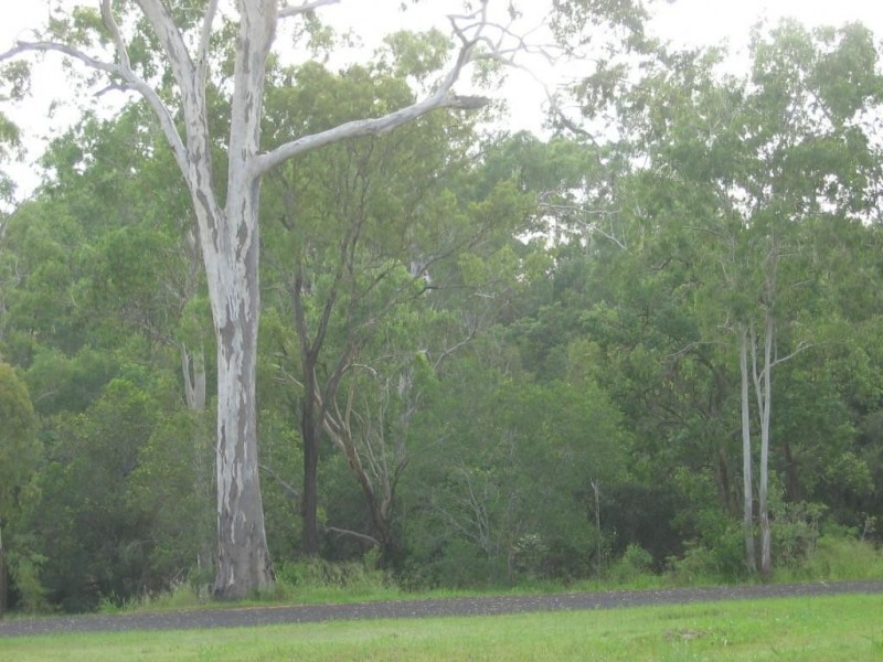 Apple Tree Creek QLD 4660