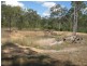 Apple Tree Creek QLD 4660