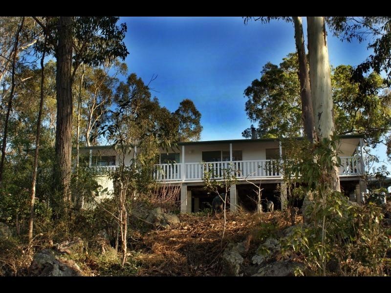 Apple Tree Creek QLD 4660