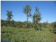 Booyal QLD 4671