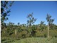 Booyal QLD 4671