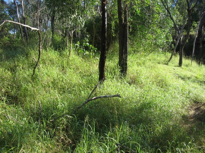 Booyal QLD 4671